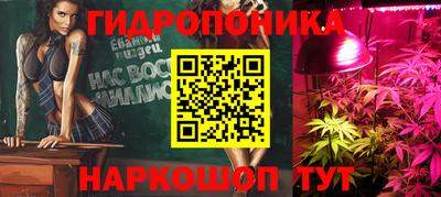 экстази Гай