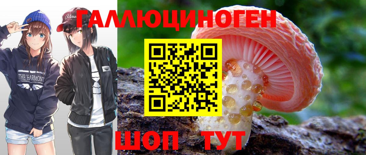 Галлюциногенные грибы прущие грибы Набережные Челны