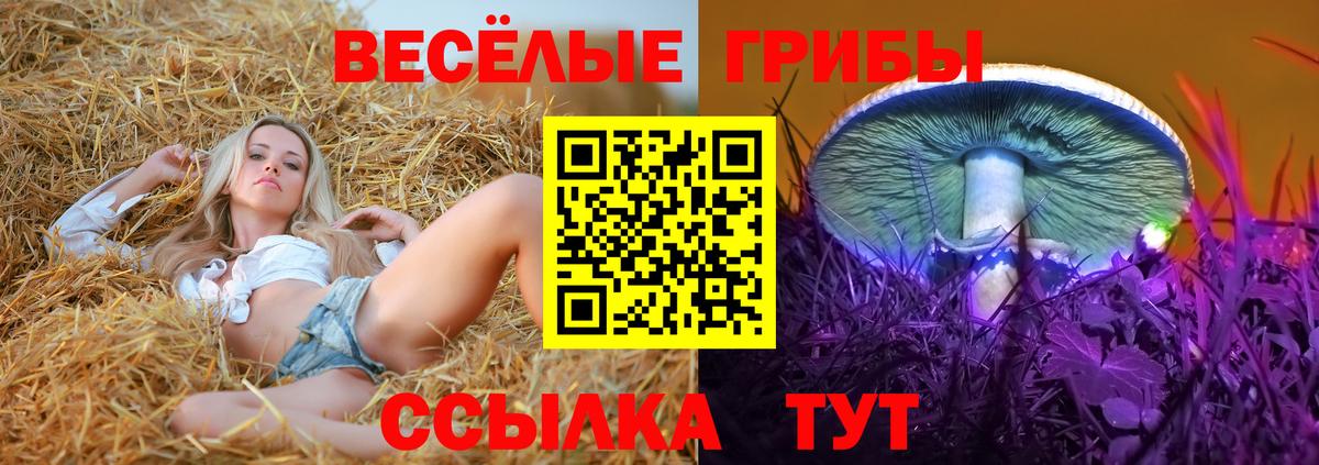 Набережные Челны  дарнет шоп  Вход с VPN  Галлюциногенные грибы ЛСД  Галлюциногенные грибы мицелий 